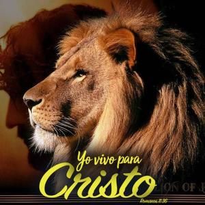 Meet your Posher, Wanda